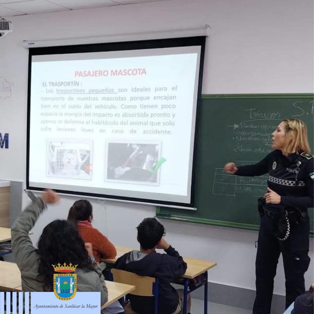 WhatsApp Image 2025-03-20 at 17.03.29