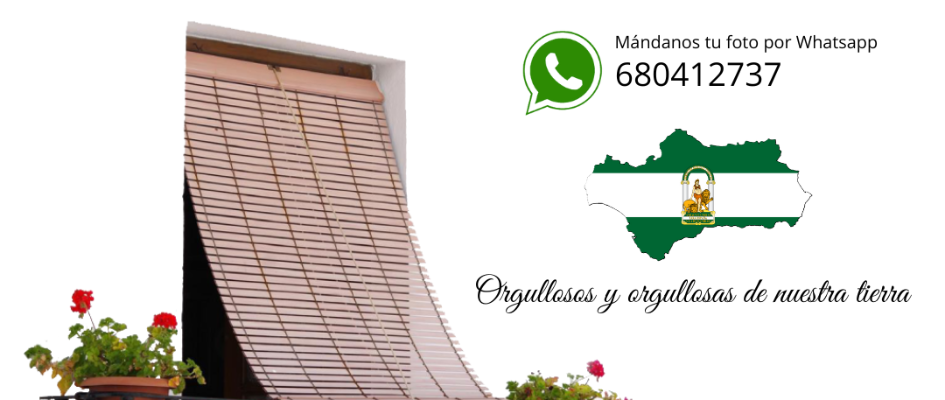 Cartel Día Andalucía 2