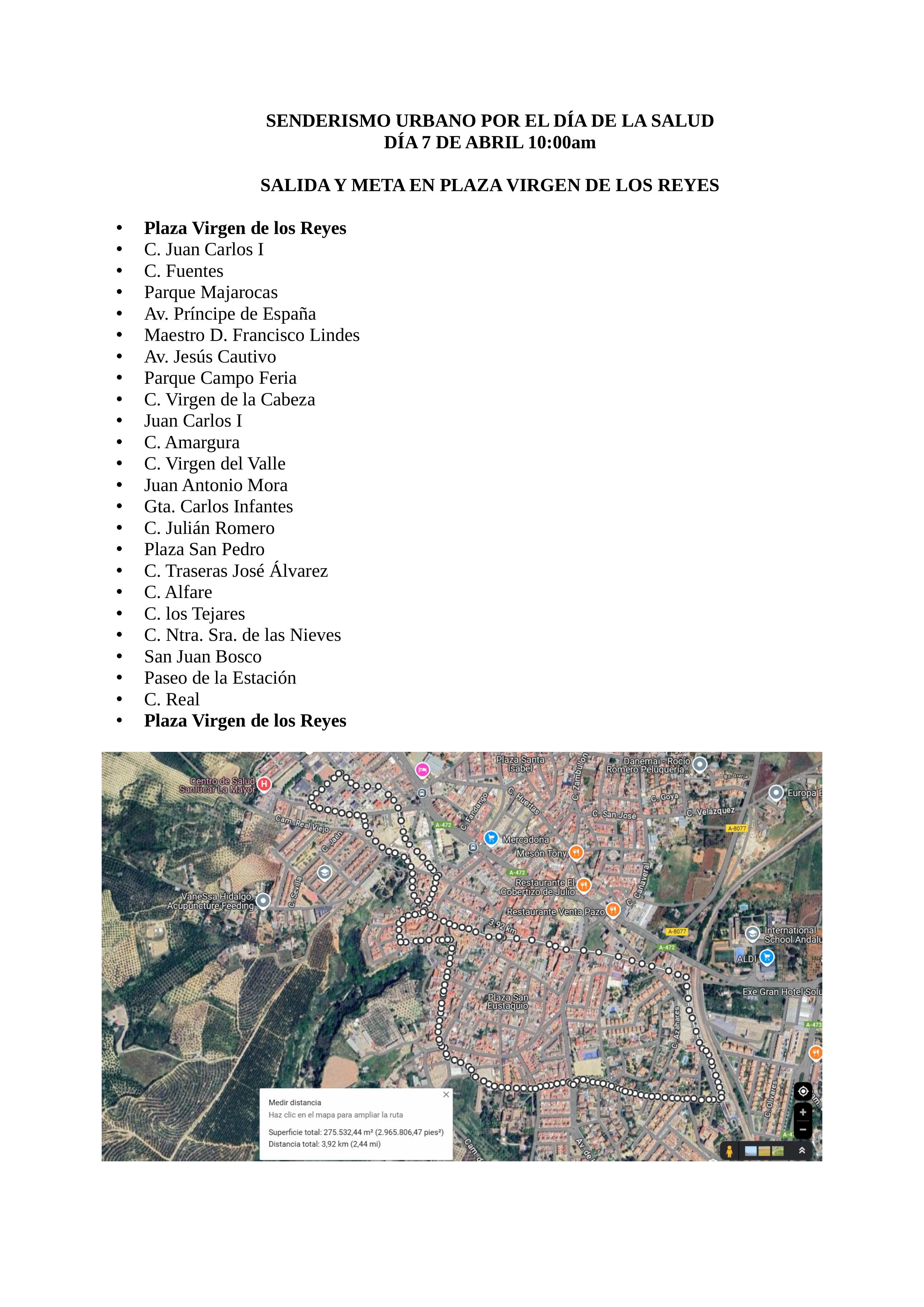 RECORRIDO RUTA SALUD