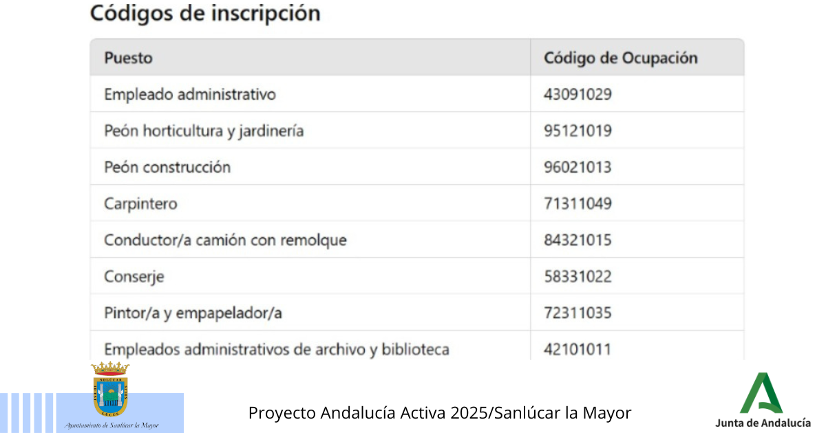 AYUNTAMIENTO HORIZONTAL - 2024-12-17T124559.237