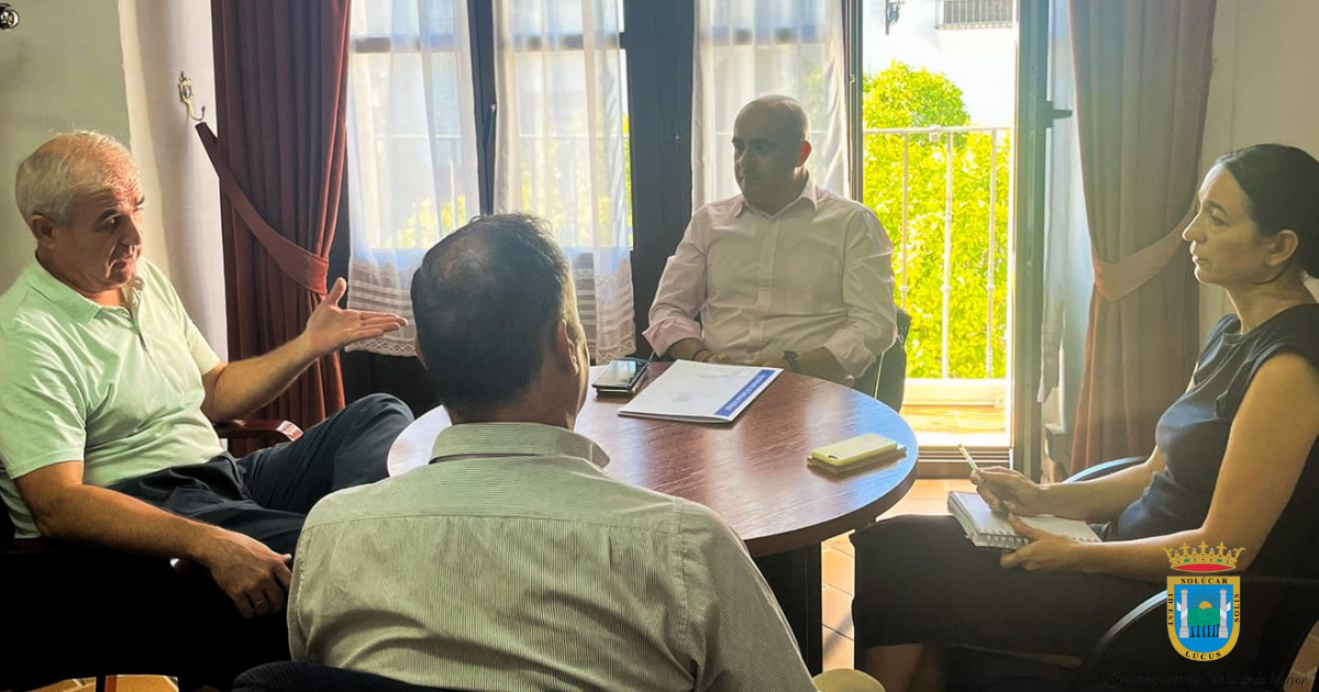 Sanlúcar la Mayor Olivares oct 2024