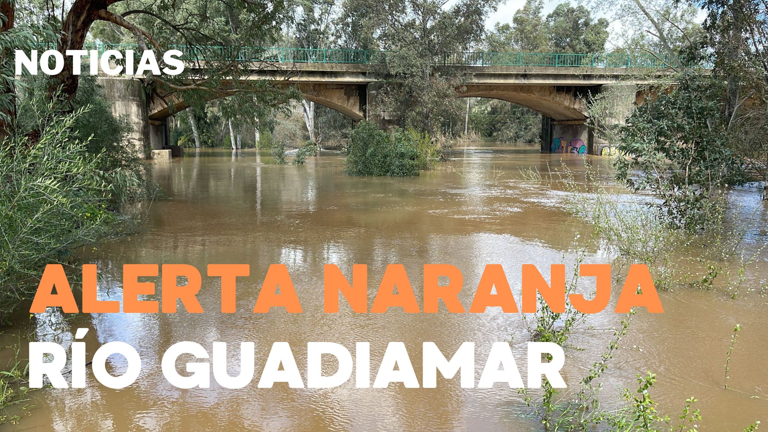 GUADIAMAR 11 DE MARZO DE 2025
