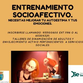 TALLER DE ENTRENAMIENTO SOCIOAFECTIVO