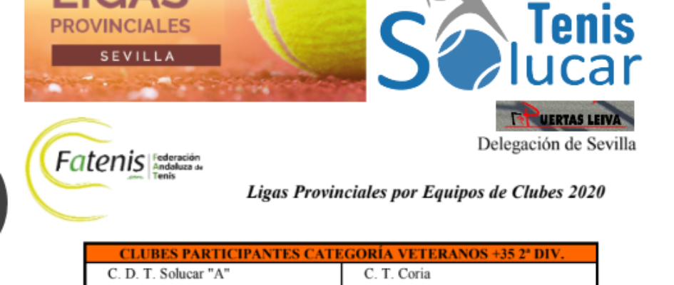 liga_provincial_tenis_cartel.png